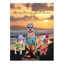Lustiges HundeAbschluss-Party auf der Strand-Postk postkarten