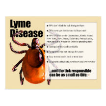 Lyme-Borreliosepostkarte