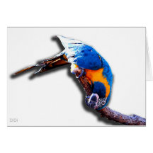 Macaw auf einem Stock Grußkarten