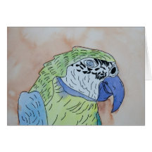 Macaw Grußkarte