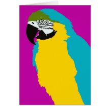 Macaw Grußkarte