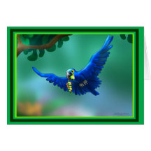 Macaw Grußkarten