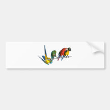 Macaw-Papagei Auto Aufkleber