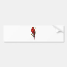 Macaw-Rot-Papagei Autoaufkleber