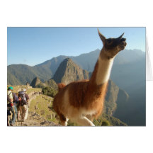 Macchu Picchu Karten