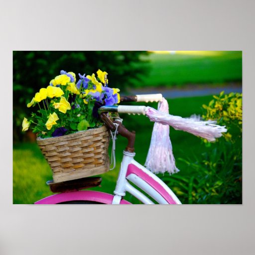 Mädchen wollen gerade, um Spaß, rosa Mädchen-Fahrr Poster