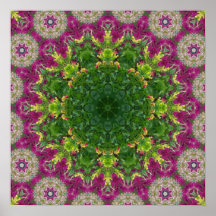 Magentaroter Blumen-KreiseMandala Plakatdruck