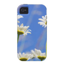 Mageriten Himmel Leucanthemum vulgare Case-Mate iPhone 4 Case