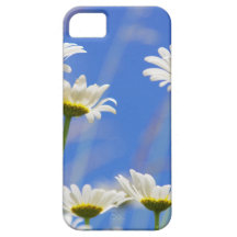 Mageriten Himmel Leucanthemum vulgare iPhone 5 Cover