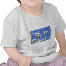 Mageriten Himmel Leucanthemum vulgare T Shirt