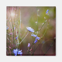 Magische Garten-Wildblumen Kühlschrankmagnet