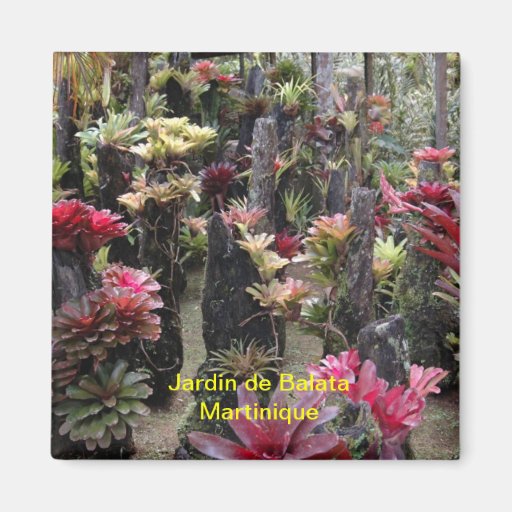 Magnet Jardin von Balata - Martinique Kühlschrankmagnete