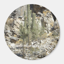 Magnet/Phoenix-Gebirgskonserve Magnete