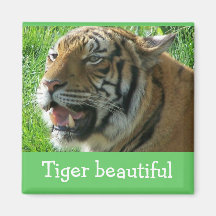 Magnet-Tiger schön Kühlschrankmagnete