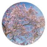 Magnolia Against the Sky Dinner Plates