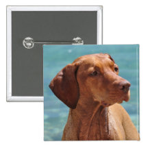 Magyar Vizsla Hund Anstecknadel
