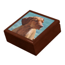 Magyar Vizsla Hund Erinnerungskiste