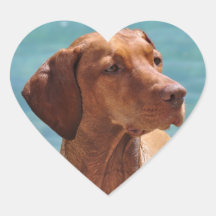 Magyar Vizsla Hund Herz Aufkleber