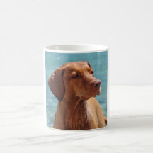 Magyar Vizsla Hund Teetassen