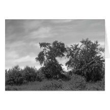 Maine_Black+White_138 Karte