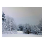 Maine-Schnee-Land Postkarte