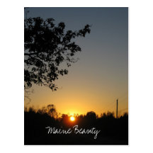 Maine-Schönheits-Postkarte