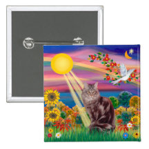 Maine-Waschbär-Katze 10 - Herbst Sun Buttons