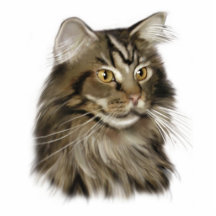 Maine-Waschbär-Katze Acrylausschnitt