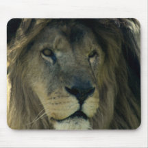 majestätisches Löwe mousepad