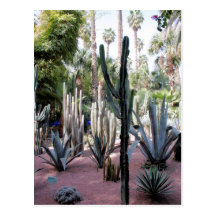 majorelle exotische Pflanzen Postkarte