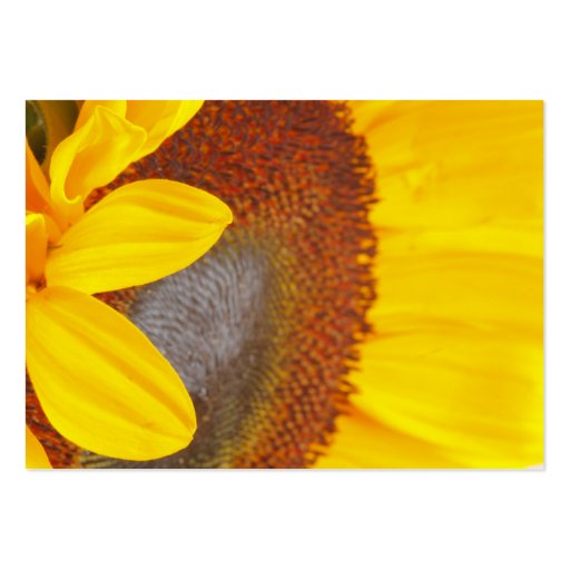 Makrosonnenblume-Visitenkarte