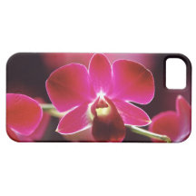 Malaysia, Orchidee iPhone 5 Etui