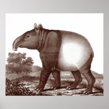 Malaysischer Tapir in einer Landschaft vom antiken Plakatdruck