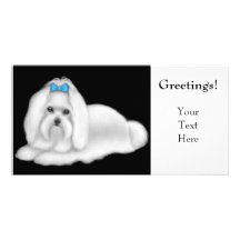Maltesischer Hundefoto-Karte Photokarten