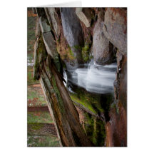 Mammutbaum-Wasserfall Karten