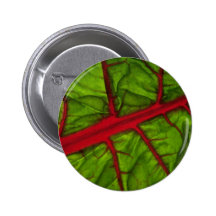 Mangoldbeschaffenheit Anstecknadelbutton