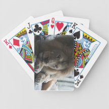 Männliche Löwe-Karten Pokerkarten