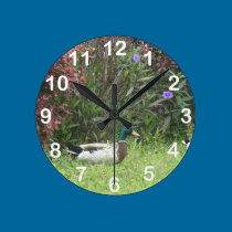 Männliche Stockente duckt Wanduhr wanduhren