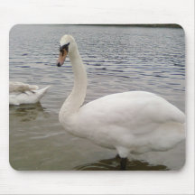 Männlicher Schwan-Vogel Mauspads