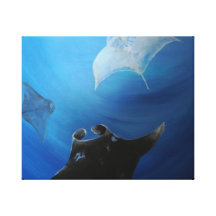 Manta Gespannter Galeriedruck
