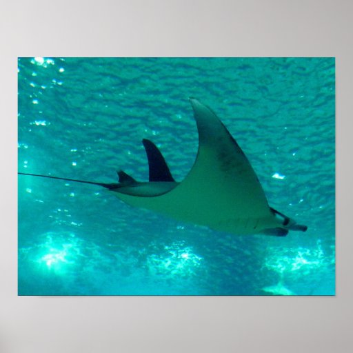 MANTAROCHEN POSTERDRUCK