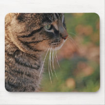 Manx Katzen-Gesicht Mousepad