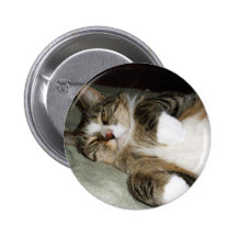 Manx Katzen-Knopf Anstecknadelbuttons