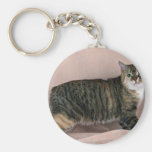 Manx, tortie Tabby Schlüsselbänder