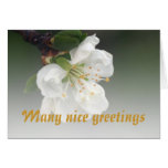 many nice greetings karten