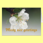 many nice greetings karten