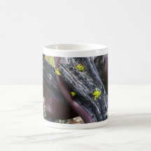 Manzanita Becher Haferl