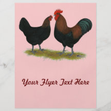 Marans schwarzes Kupfer Personalisierte Flyer