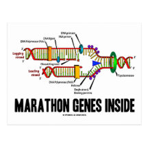 Marathon-Gen-Innere (DNS-Reproduktion) Postkarte