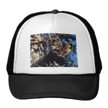 Marder im gezierten Baum Baseball Cap